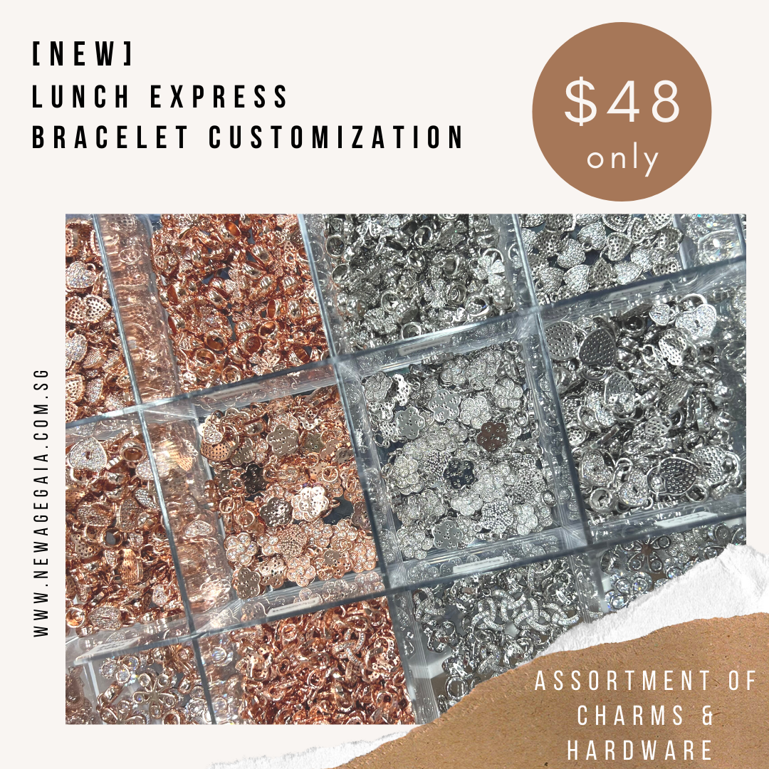 [NEW] Lunch Express Bracelet Customization