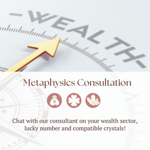 Metaphysics Consultation @ NewAge FSG Store