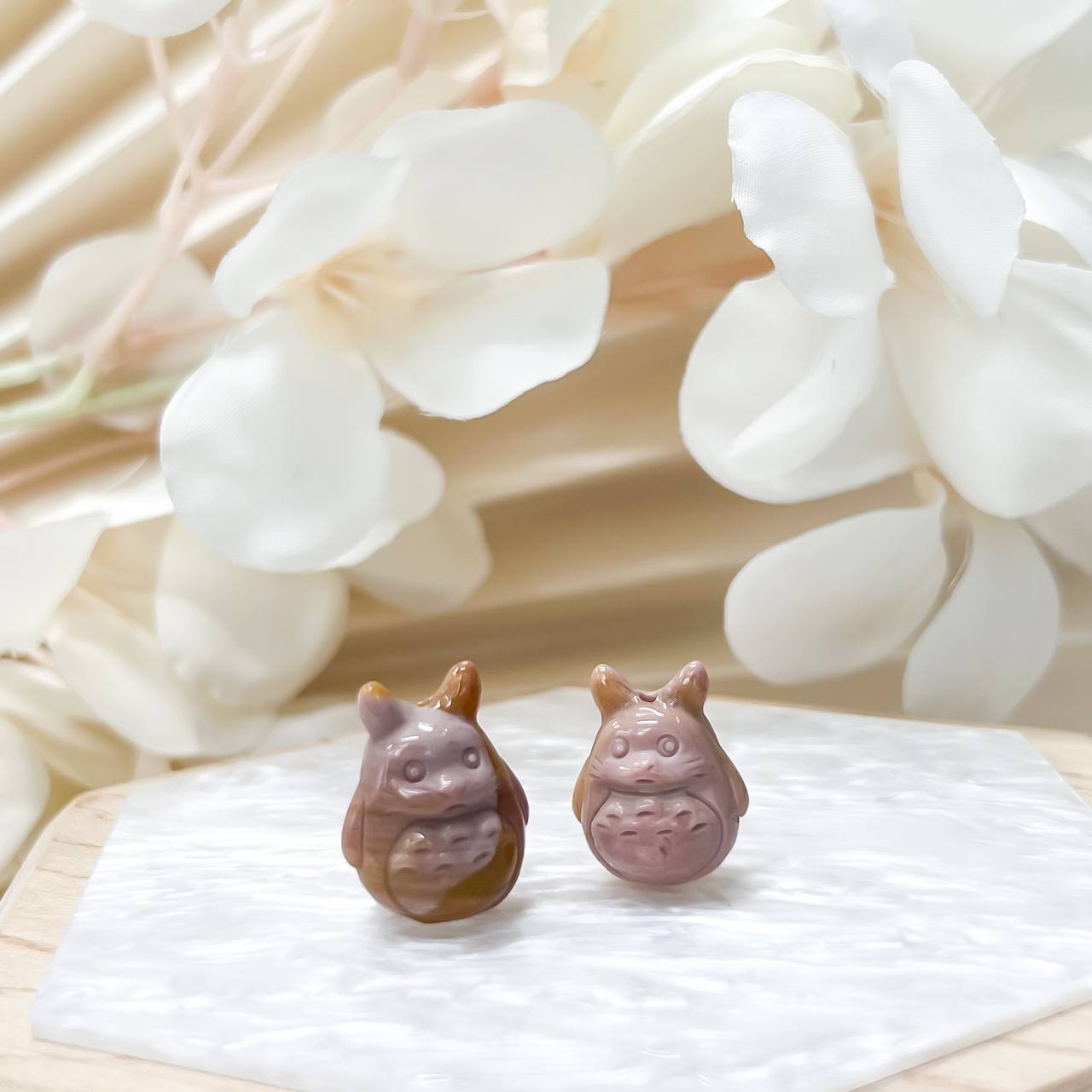[Premium] Alashan Tortoro