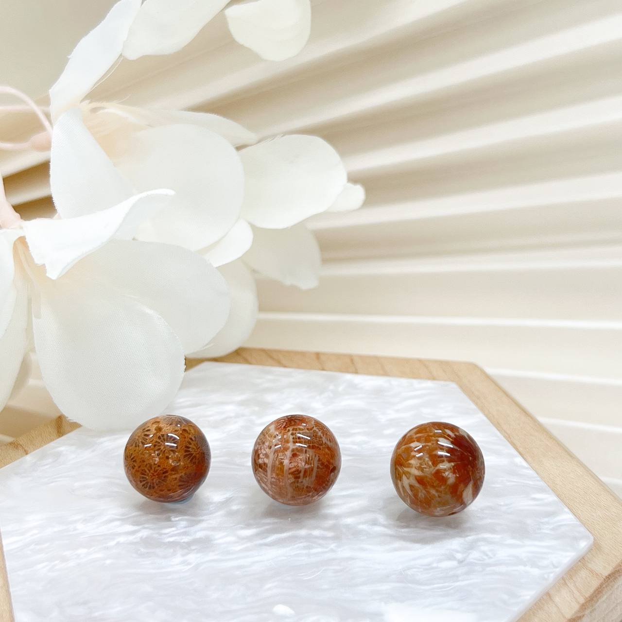 [Premium] Fossilized Coral Bead 14.5mm