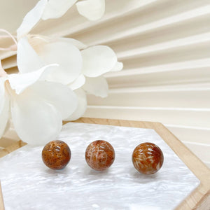 [Premium] Fossilized Coral Bead 14.5mm